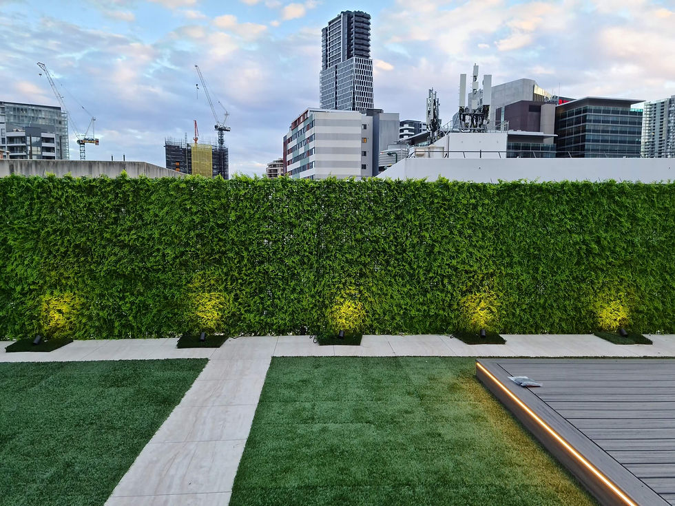 Thumbnail: Lush Fern Artificial Green Wall 40" X 40" 11SQ FT Commercial Grade UV Resistant