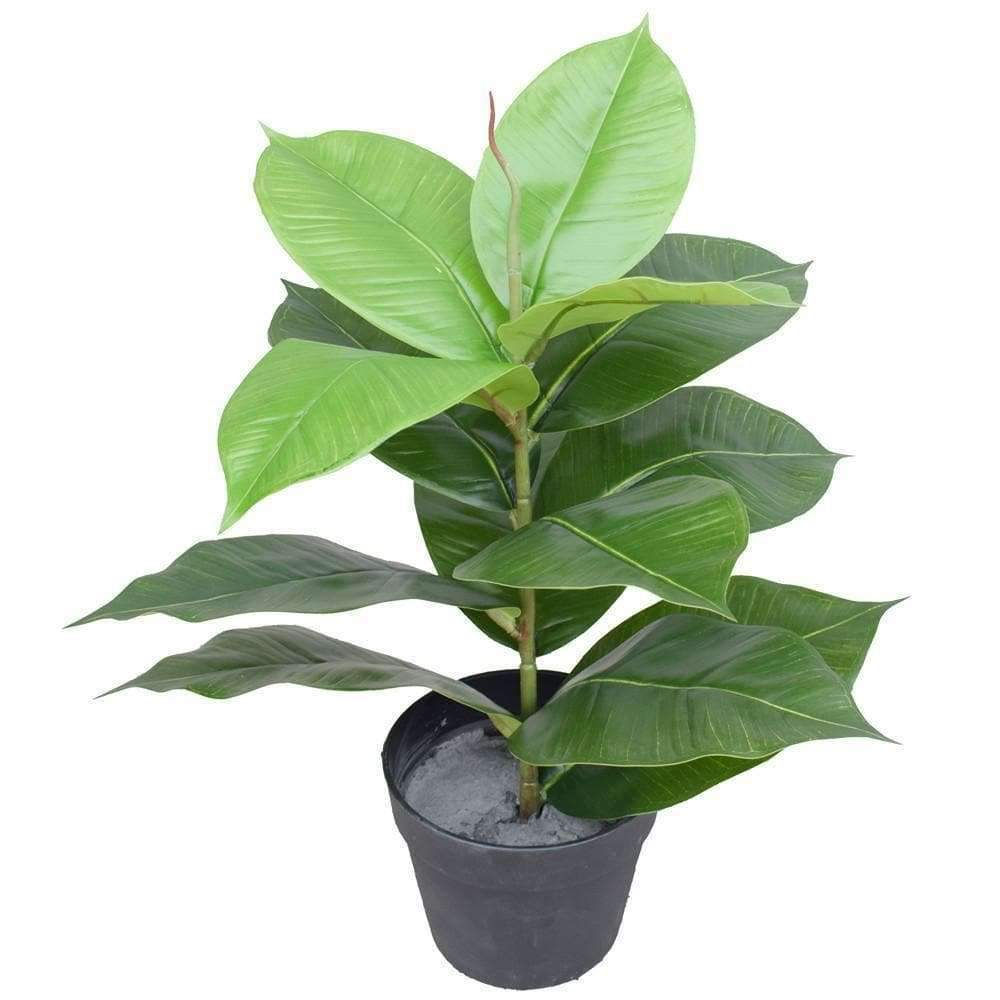 Artificial Potted Rubber Plant 55 Cm
