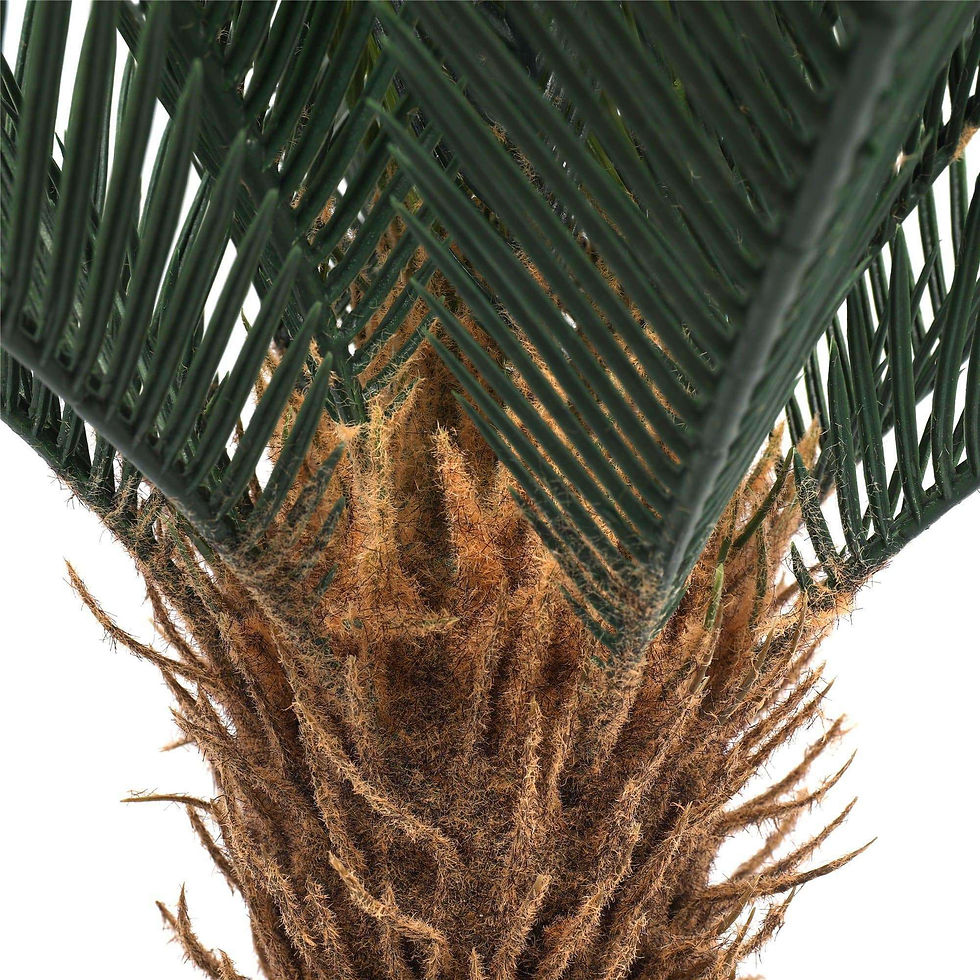Thumbnail: Artificial Cyac (Cycad) Plant 60cm