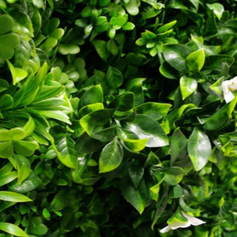 Thumbnail: Luxury White Oasis Artificial Vertical Garden 40" X 40" 11SQ FT C