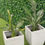 Thumbnail: White Flowering Artificial Boxwood Wall 40" X 40" 11SQ FT Commercial