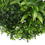 Thumbnail: Luxury Artificial Green Wall Disc 20" Black Frame UV Resistant