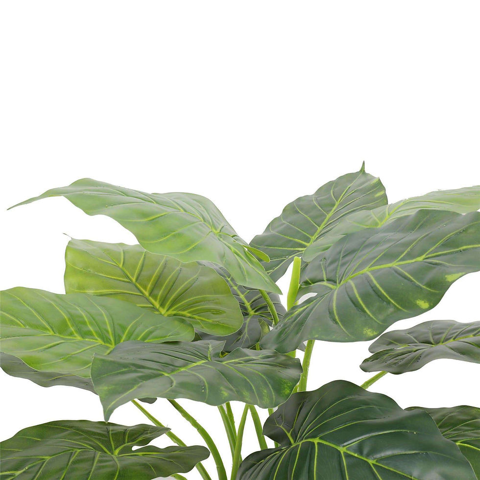 Thumbnail: Artificial Potted Taro Plant / Elephant Ear 70cm