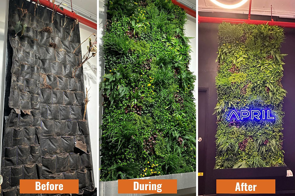 Thumbnail: Luxury Country Fern Artificial Vertical Garden 40" X 40" 11SQ FT Comme