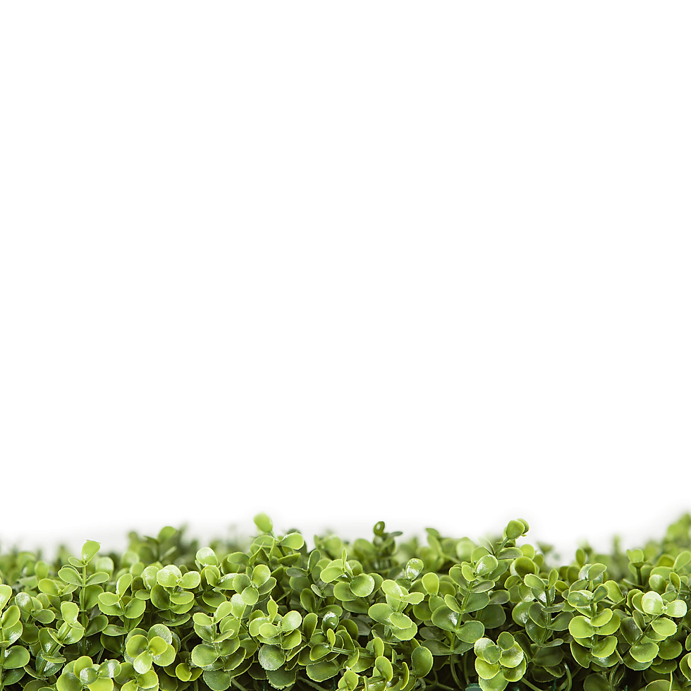 Thumbnail: Natural Artificial Boxwood Wall 40" X 40" 11SQ FT UV Resistant