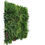 Thumbnail: Luxury Country Fern Artificial Vertical Garden / Green Wall 100cm X 100cm