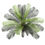 Thumbnail: Artificial Cycas / Cycad Palm Tree 105cm UV Resistant