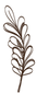 Transparent_edited.png