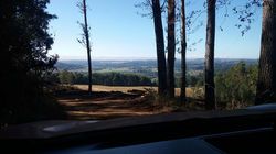 16797959_218769938594456_4764530199450963567_o