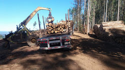 16665774_218764038595046_3374728407196806639_o