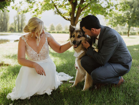 What Being a Wedding Pet Chaperone Actually Means