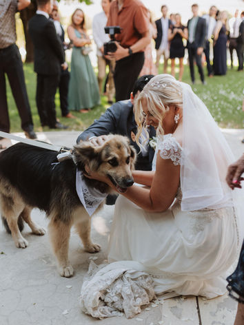 Bride and groom sharing a special moment with their dog during wedding portraits while their wedding pet attendant coordinates the session.