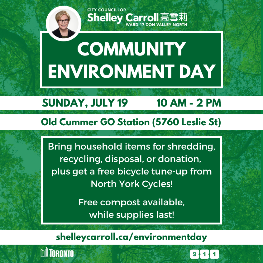 Environment Day – Old Cummer GO