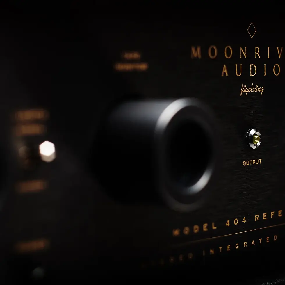 Moonriver-Audio-404-Reference-Integrated-Amplifier-8.webp