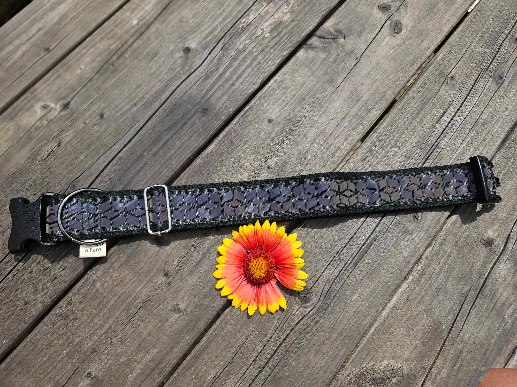 collier chien réfléchissant