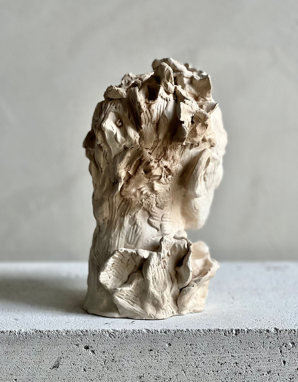 Miniature : ATTIS