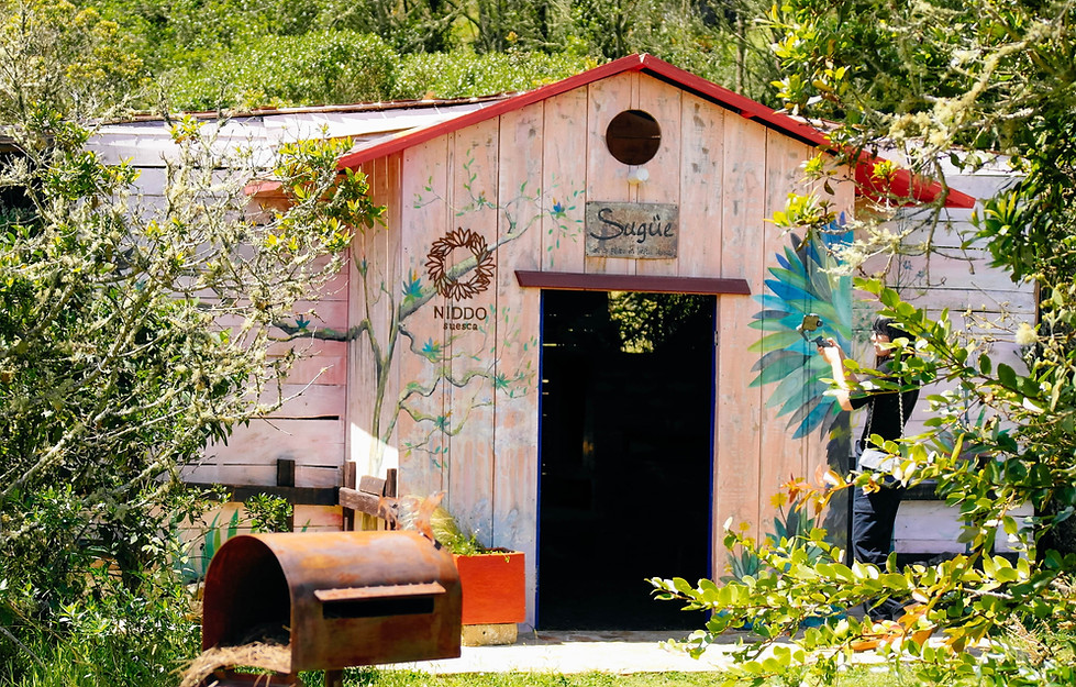 Entrada a la casa de pájaros