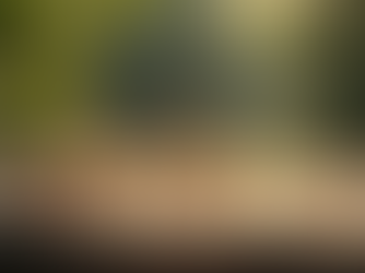 The Importance of Fly Color Selection in Fishing