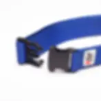 Thumbnail: WAR DOG Everyday Collar 50mm