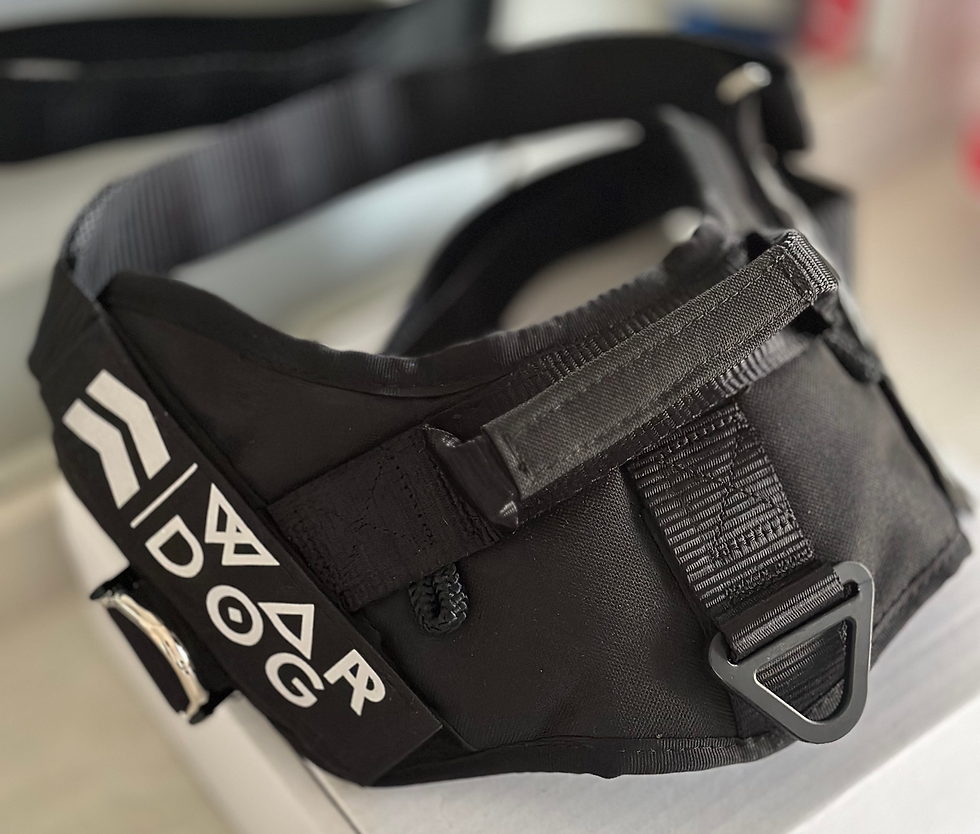 Thumbnail: WANDER DOG Harness