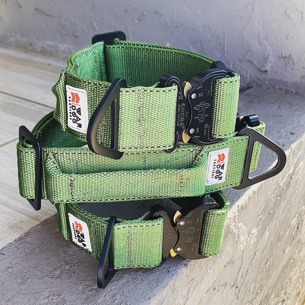 Thumbnail: WAR DOG Echo Collar