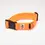 Thumbnail: WAR DOG Everyday Collar 38mm