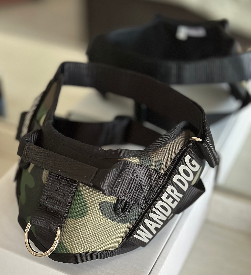 Thumbnail: WANDER DOG Harness