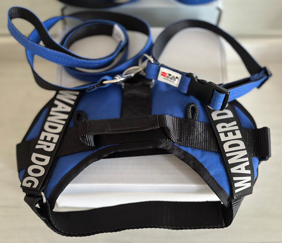 Thumbnail: WANDER DOG Limited Edition Leash, Collar & Harness SET 25mm S/M