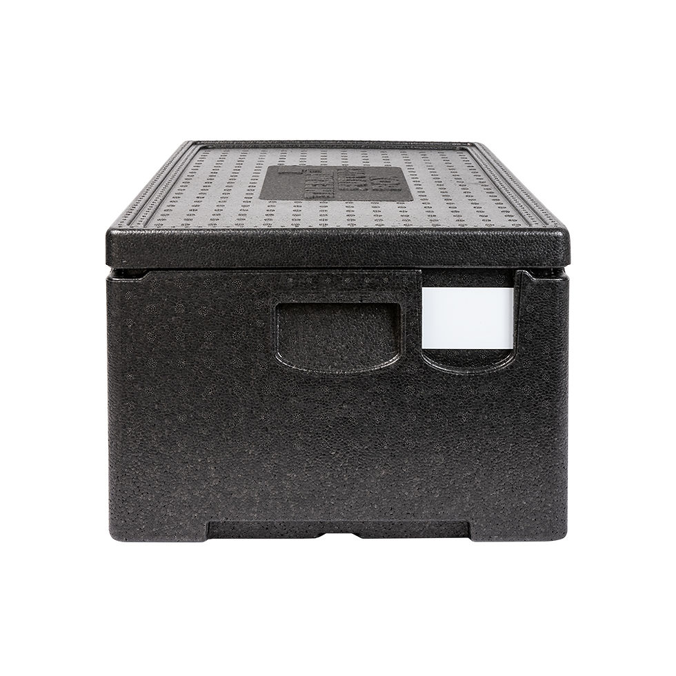 Miniaturbild: Thermobox GN 1/1 Premium PLUS (Thermo Future Box 10543)