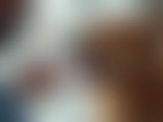 Medicamentos Clave para la Salud de Tu Mascota