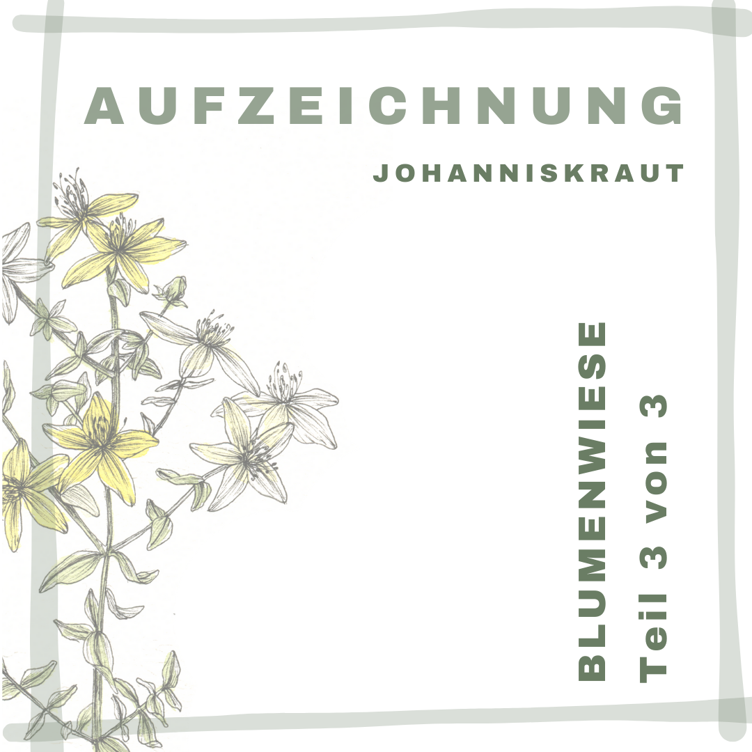 Aufzeichnung | 18. Juli