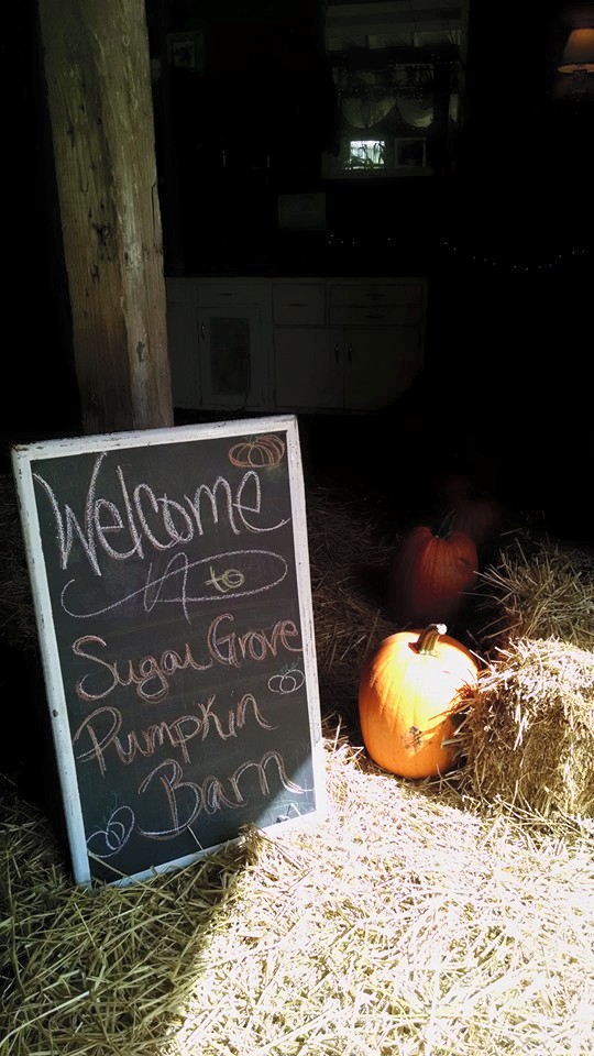 Pumpkin Farm Near Me