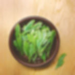 Harvesting fresh tea: a report from an organic tea farm.
