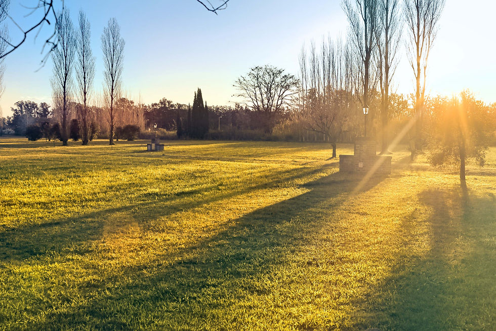 atardecer 2.jpg