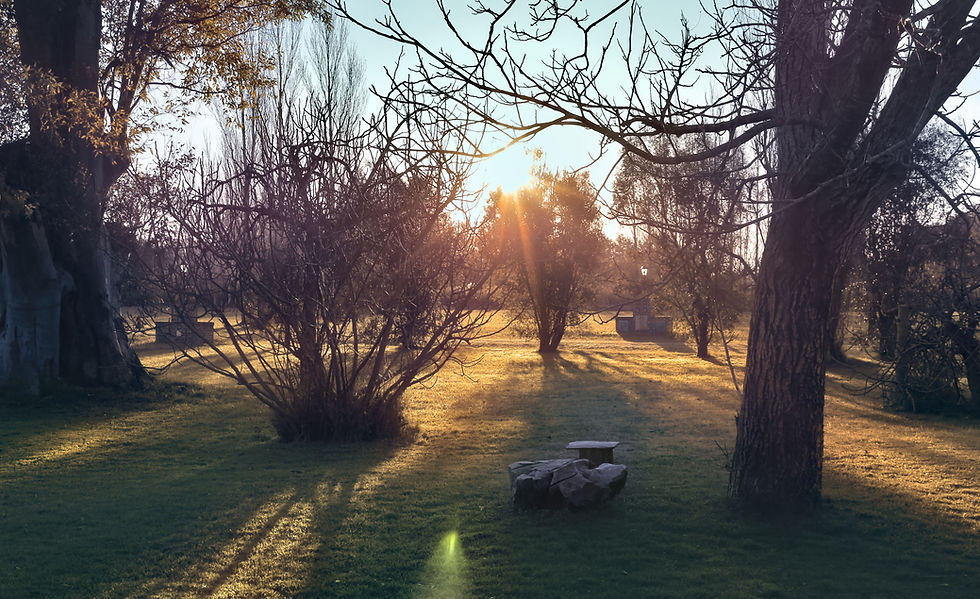 comienza el atardecer 2.jpg