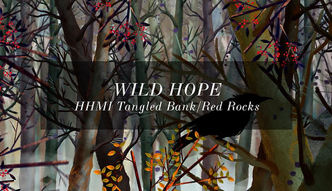 Wild Hope.jpg