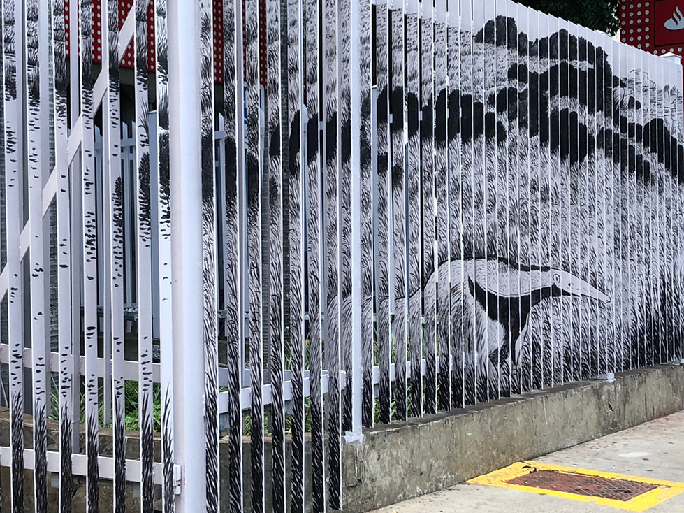 IMG_4346.jpeg