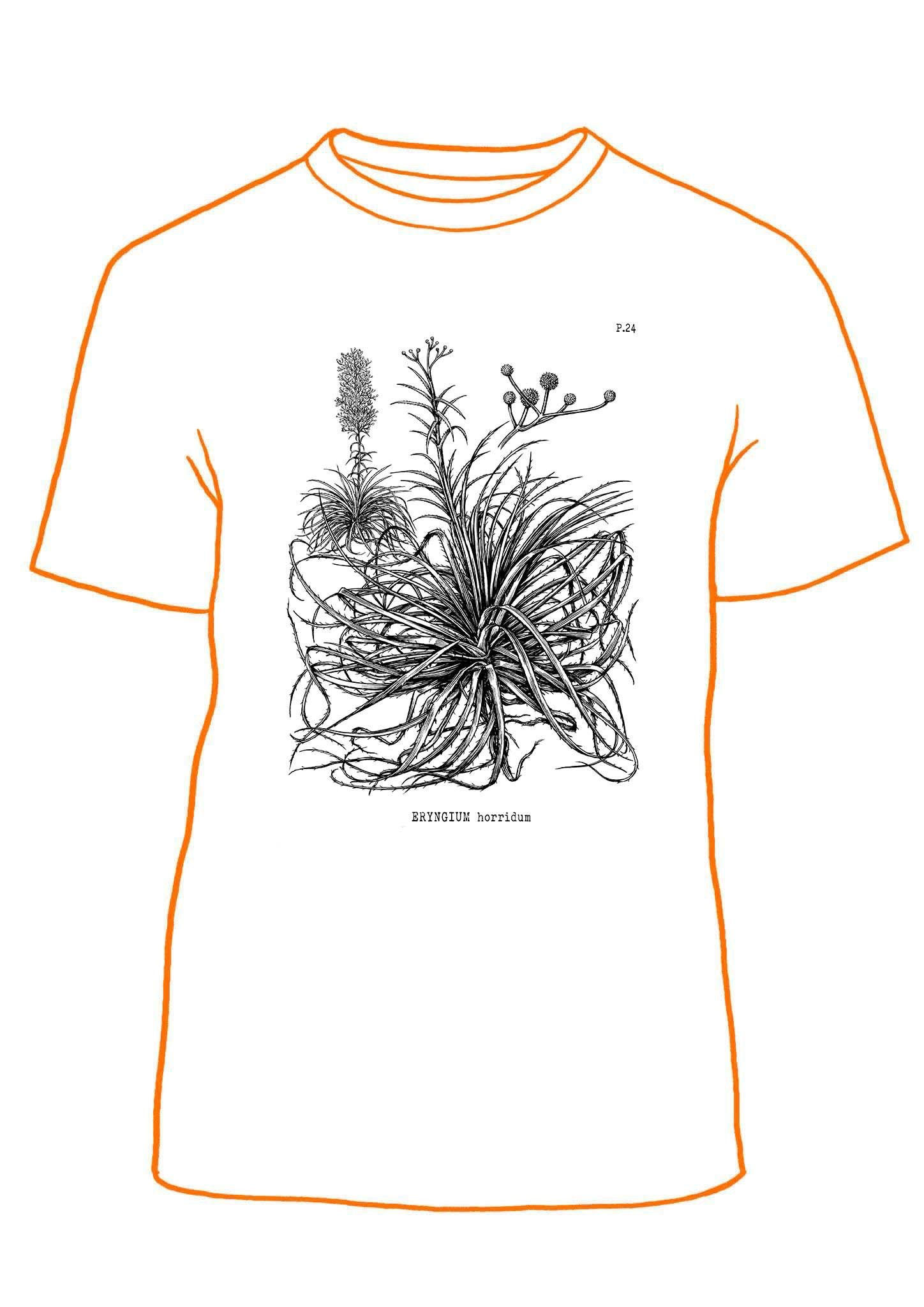 Língua de tucano P.24