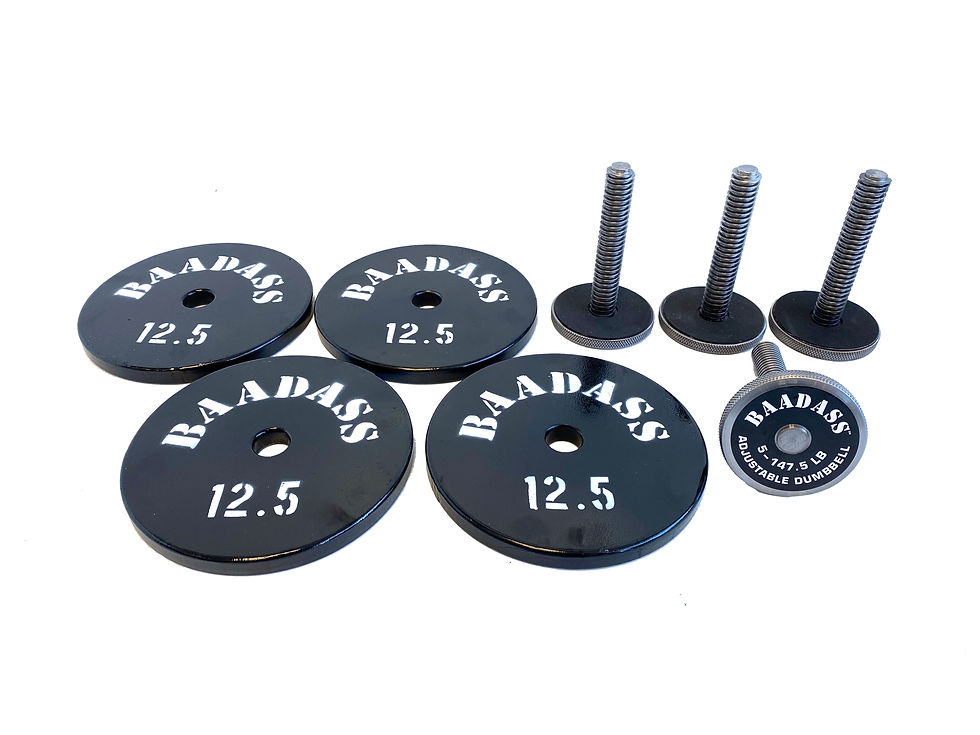 all-products-baadass-weights-and-dumbbells-2-2