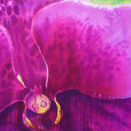 Orchid