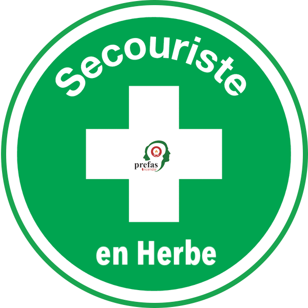 Logo secouriste en herbe.gif