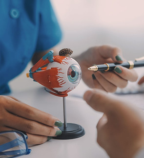 Opthamologist points to 3D eye anatomy model to explain eye care
