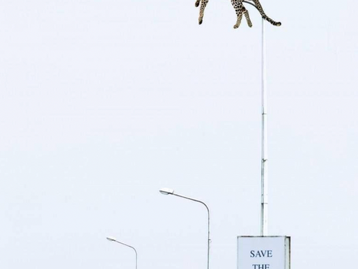 5 Creative Ads That Prove Great Marketing Isn’t About Big Budgets, But Great Ideas