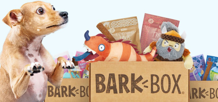 How Bark Eats Turned Boring Deliveries into Viral Moments