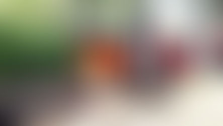 🏕🏕กิจกรรมเข้าค่ายลูกเสือ-เนตรนารี ระดับชั้นประถมศึกษาปีที่ 4-6