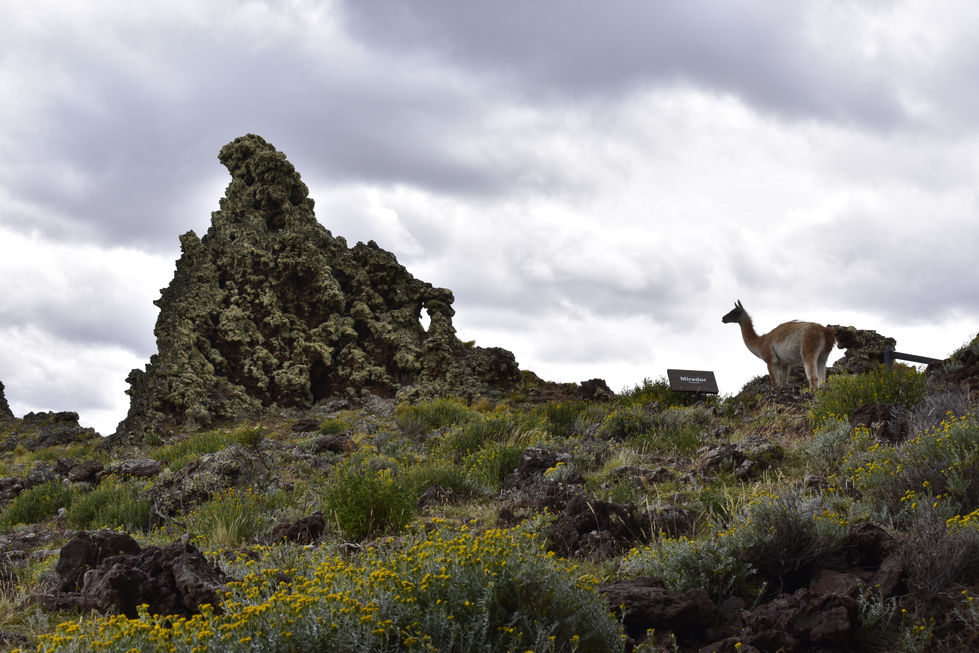 1. Mirador Nau Guanaco