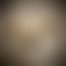 016~ The day I met Hitler in the Shower