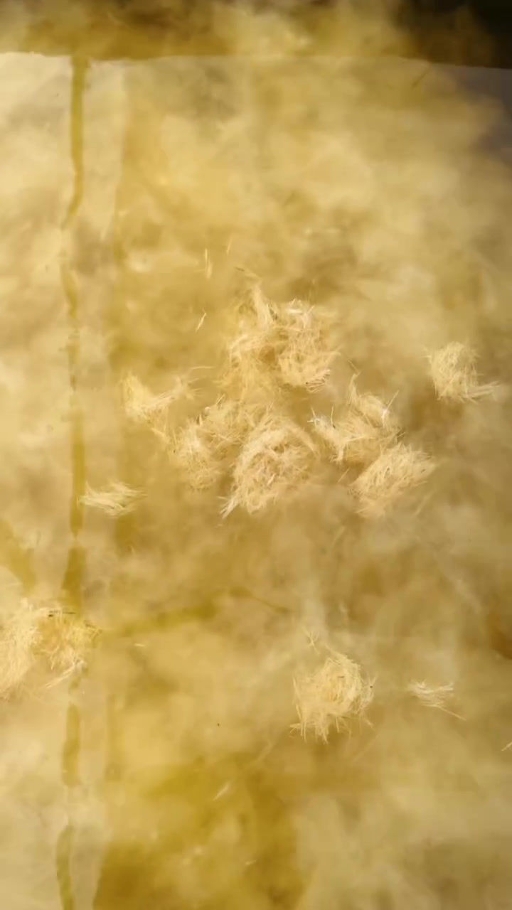 Thumbnail: Banana Stamps on Handmade Paper RED