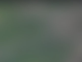 Comment peut-on définir l’identité de Ville d'Avray? 