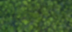 AdobeStock_880217947_Preview_edited.jpg